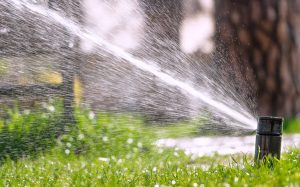 winterize sprinkler system for Paxton, Massachusetts