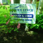 Landscape Design Services in Millbury, Massachusetts 