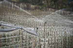 Irrigation Winterization in or near Worcester, Massachusetts